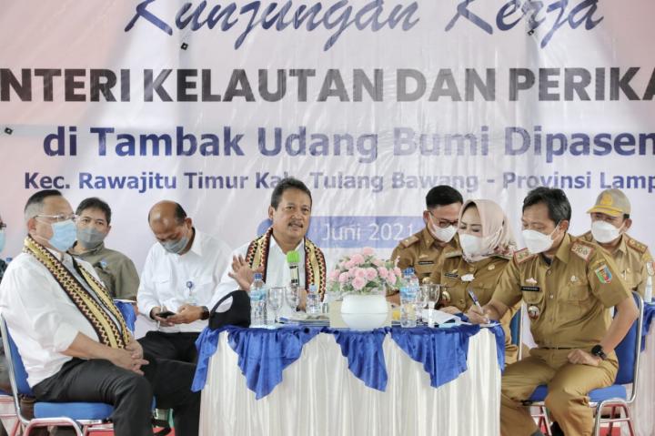 Pengembangan Komoditas Udang Lampung Direspons Positif oleh Menteri Kelautan dan Perikanan, Lampung Didorong Kembangkan Tambak Modern